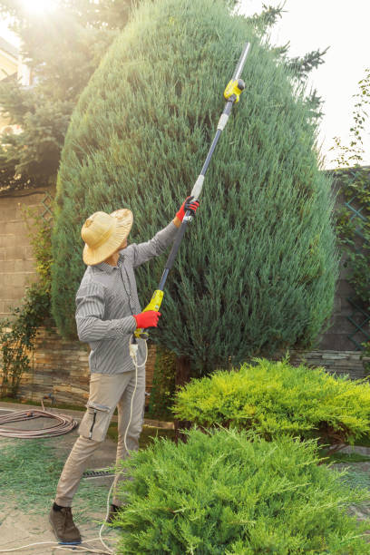 Best Weed Control  in Sunnyside, GA